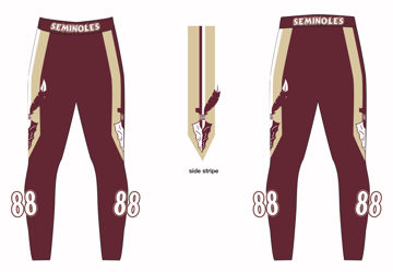 Picture of Seminoles Custom Sublimated Spandex pants