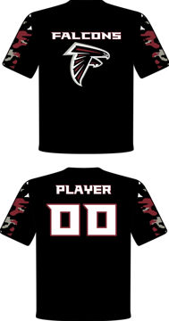 Picture of Falcons  CUSTOM PLAYER / PARENT SHIRT