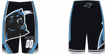Picture of Panthers  Shorts 2020